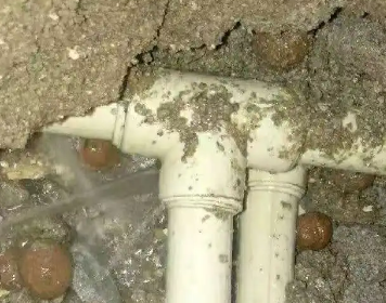 唐河测漏水多少钱