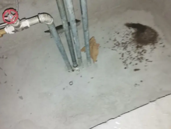 唐河卫生间测漏水价格明细