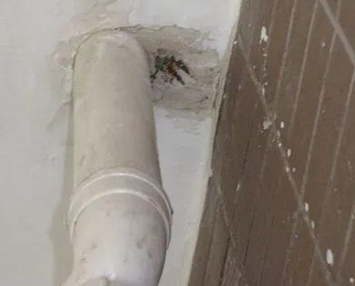 唐河漏水检测哪家好